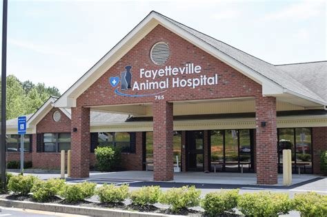 Fayetteville animal hospital - Yelp